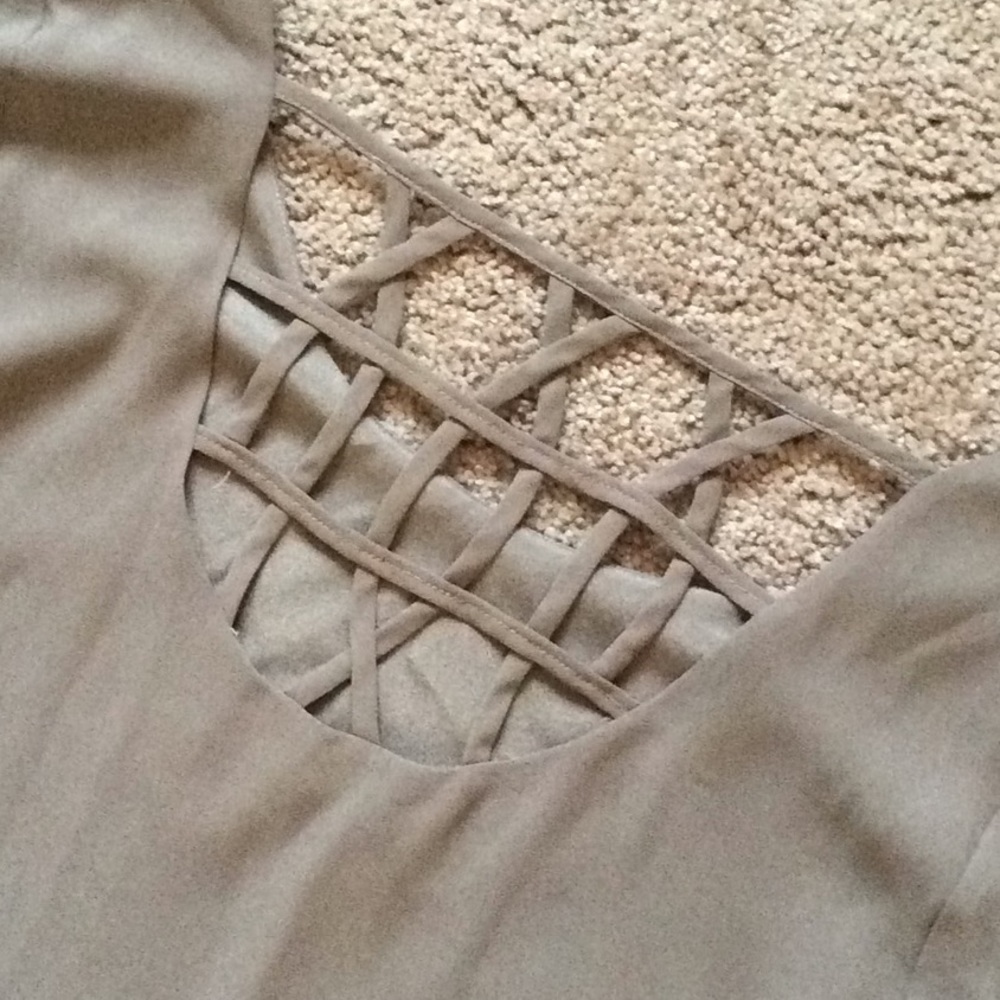 Naked Zebra Taupe Shift Dress - Picture 4 of 6